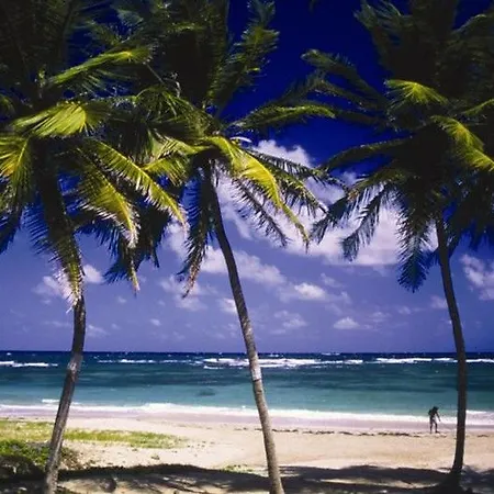 Cotton Bay Village